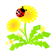 クレール音楽教室